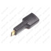 HDMI-HDMI Mini Adapter
