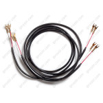 Acoustic Revive SPC-Reference II SPK Cable pair