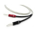 CHORD ShawlineX Speaker Cable 2.5m