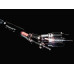 HiDiamond Speaker Diamond 6 2x3m