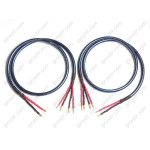 Neotech NES-3004G Bi-Wire SPKR PAIR