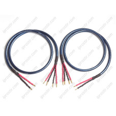 Neotech NES-3004G Bi-Wire SPKR PAIR