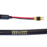 Purist Audio Design Corvus 2.0 m
