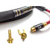 Purist Audio Design Dominus 2.0 m