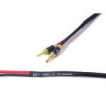 Purist Audio Design Vesta 2.0 m