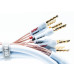 SUPRA XL ANNORUM BI-AMP COMBICON 2x2.5M