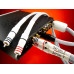 CHORD Sarum T Super ARAY 2RCA to 2RCA 1m