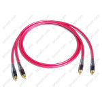 Neotech NEI-3003G 2RCA-2RCA