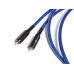 Wireworld Oasis 8 RCA