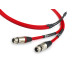 CHORD Shawline TRRRS 4.4mm to 2XLR 1m